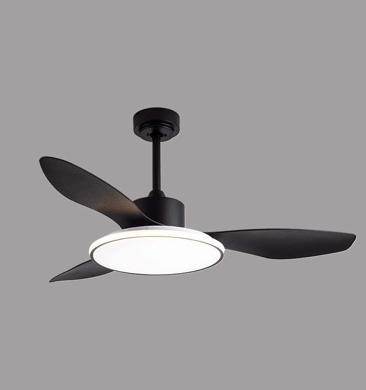 Living Room Ceiling Fan