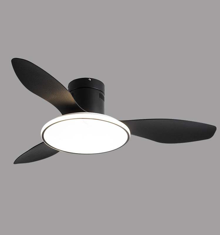 Living Room Ceiling Fan