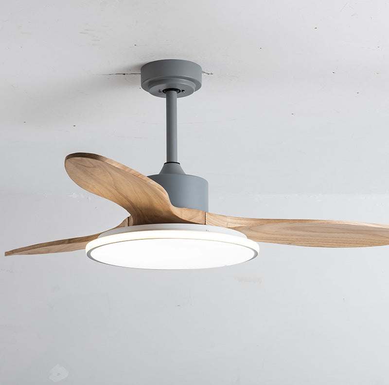 Living Room Ceiling Fan