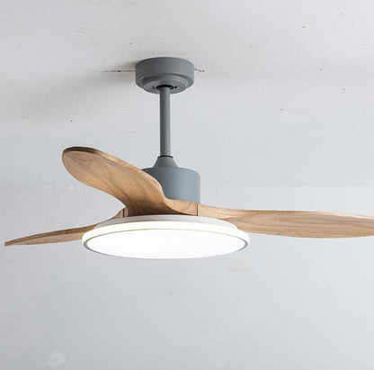 Living Room Ceiling Fan