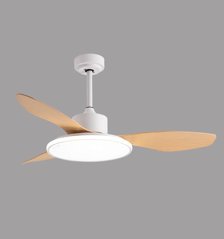 Living Room Ceiling Fan