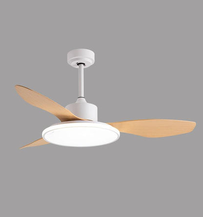 Living Room Ceiling Fan