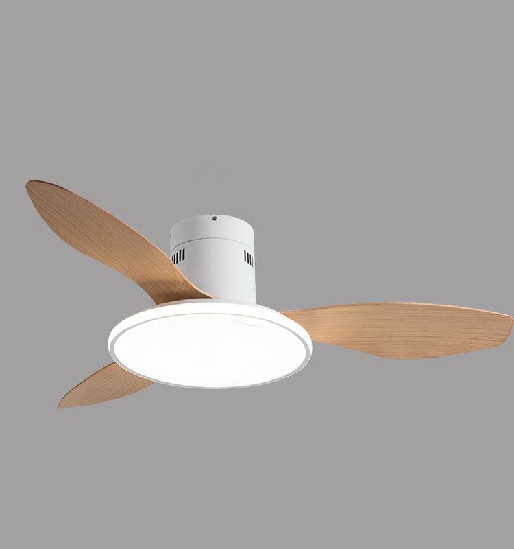 Living Room Ceiling Fan
