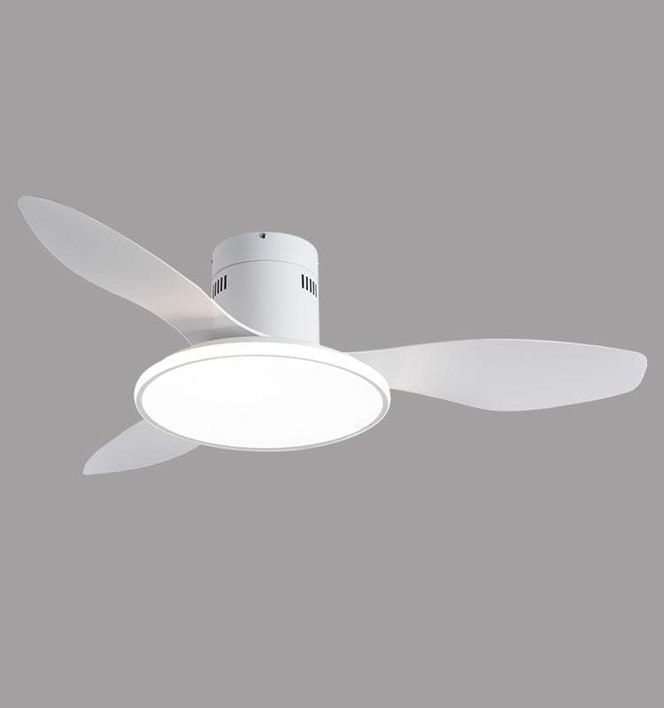 Living Room Ceiling Fan