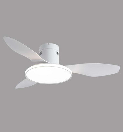 Living Room Ceiling Fan