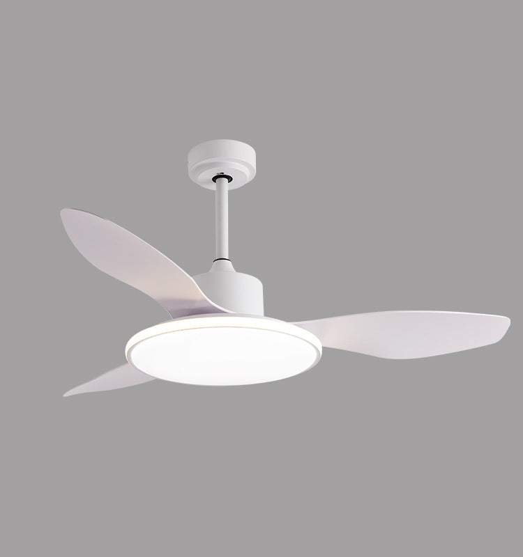Living Room Ceiling Fan