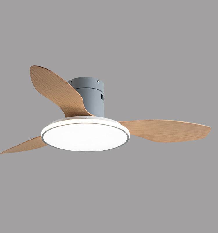 Living Room Ceiling Fan