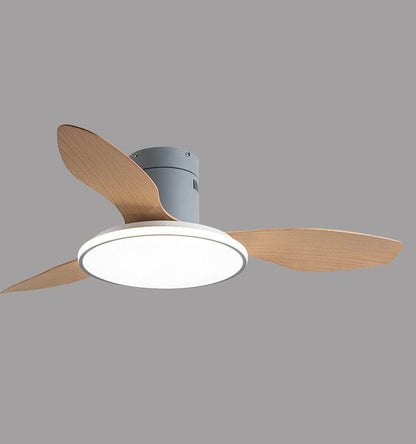 Living Room Ceiling Fan
