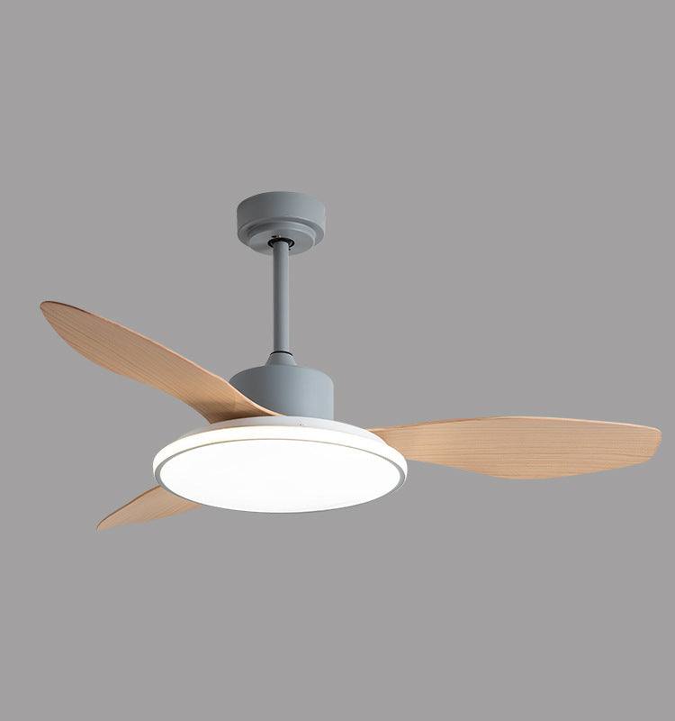 Living Room Ceiling Fan
