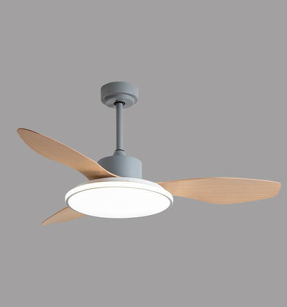 Living Room Ceiling Fan